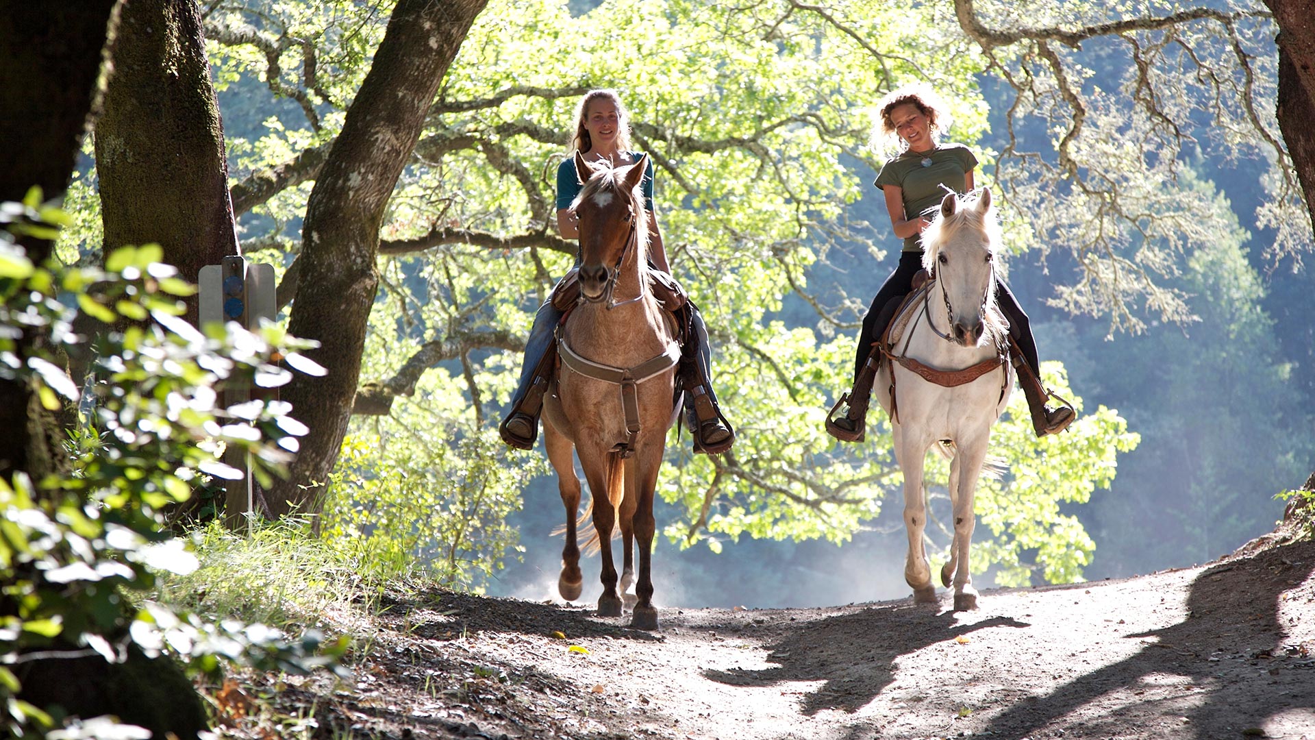 Horse-Trail-Riding-in-Mersey-Valleey-2